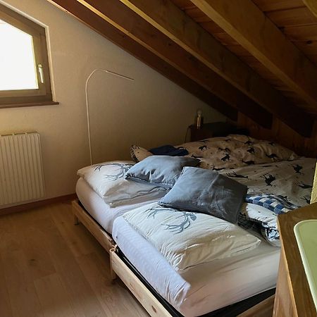 Chalet Les Rhodos Appartement Le Yeti Les Crosets Exterior foto